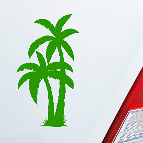 Hellweg Druckerei Palme Palms Beach Strand Kokospalme Pflanze Auto Aufkleber Sticker Heckscheibenaufkleber von Hellweg Druckerei
