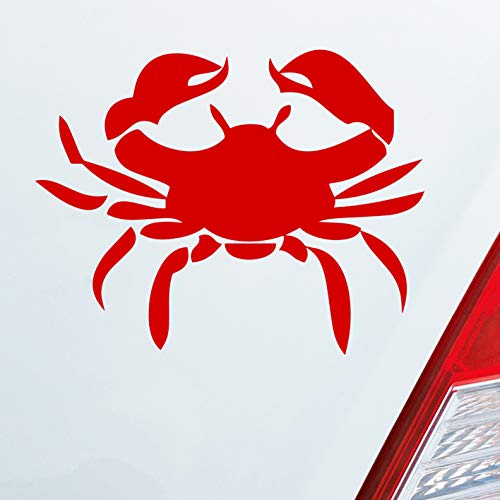 Hellweg Druckerei Sternzeichen Krebs Crab Tier Motorrad KFZ Roller Auto Aufkleber Sticker Heckscheibenaufkleber von Hellweg Druckerei