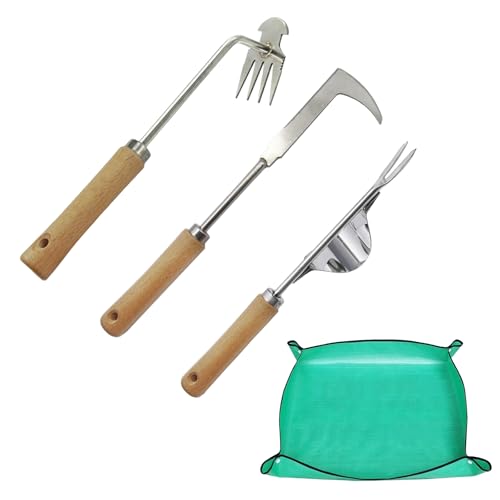 Unkrautjäter, Unkrautstecher Edelstahl, Manueller Weeder, Wurzeljäter, Entwurzelungswerkzeug, Garten Handjätgerät, Gartenarbeit Hand Unkrautstecher, Unkraut Entferner Gerät Edelstahl, Fugenkratzer Unkrautjäter, Unkrautstecher Edelstahl, Manueller Weeder, Wurzeljäter, Entwurzelungswerkzeug, Garten Handjätgerät, Gartenarbeit Hand Unkrautstecher, Unkraut Entferner Gerät Edelstahl, Fugenkratzer von Helweet