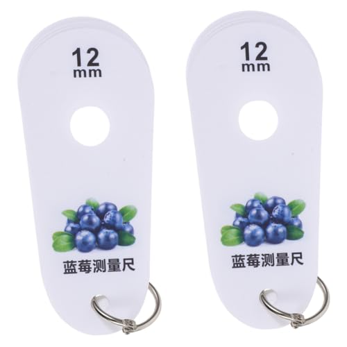 Hemobllo 2 Stück Blueberry Messen Herrscher Werkzeug Messen Messplatte Tool Durchmesser Messwerkzeug Heidelbeer-messgerät Heidelbeer-messlineal Fruchtgrößenmesser Dickenmessgerät Plastik von Hemobllo