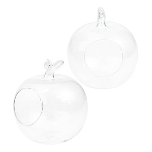 Hemobllo 2pcs Creative Landscape Flasche Apfelform Microlandscape Flasche Clear Glass Terrarium Für Hydroponische Pflanzen Eco Flasche Desktop -pflanzenbehälter Hemobllo 2pcs Creative Landscape Flasche Apfelform Microlandscape Flasche Clear Glass Terrarium Für Hydroponische Pflanzen Eco Flasche Desktop -pflanzenbehälter von Hemobllo