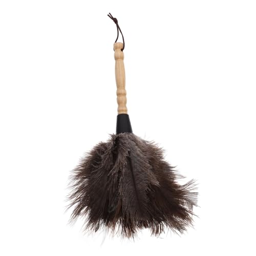 Hemobllo Ostrich Duster Auto Duster Staubwedel mit langem Griff Staubstab Schreibtisch Staubwedel Staubtücher zum Reinigen Staubreiniger flauschiger Staubwedel Holz von Hemobllo