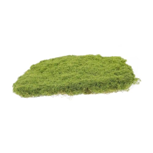 Hemobllo Simulierte Moosschmuck Torf für Pflanzen getrocknetes Moos zum Basteln Hundegras Bonsai-Moos Rasenmatte Moosdekoration konserviertes Moos Beflockung Light Green von Hemobllo