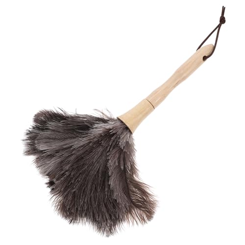 Hemobllo Staubtuch Staubstab Störungen waschbare Staubtücher zum Reinigen Auto Duster Staubwedel mit langem Griff Reinigungsmittel flauschiger Staubwedel Straußenfeder von Hemobllo