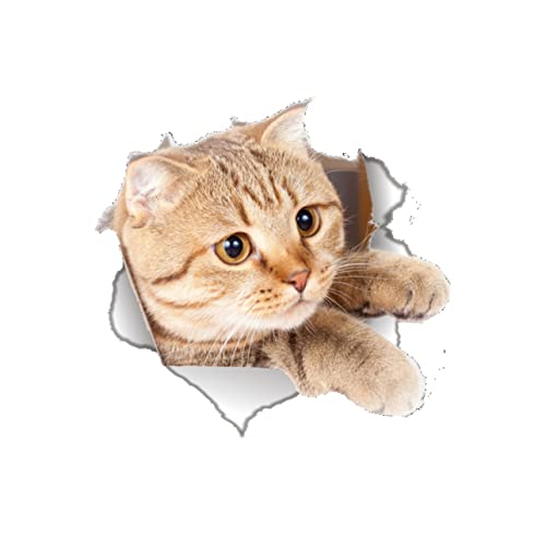 Hemobllo Katzen Toilettensitz Aufkleber Abnehmbarer Pvc Wandsticker Für Badezimmerdekoration Süßes Design Für Saubere Oberflächen Für Toilette Und Mehr von Hemobllo