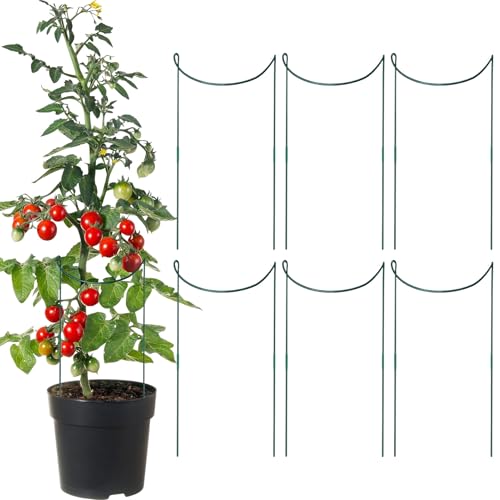 Hemousy Pflanzenstäbe Für Zimmerpflanzen | Sechs Halbrund Stützen Aus Stahl Für Gartenpflanzen - Rankhilfe Halbrund Metall Halter Für Stängel Gitter Für Topfpflanzen Draußen von Hemousy