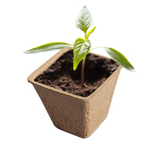 Hemousy Torf Töpfe Anzuchtschalen Set | Pflanzgefäß Für Setzlinge,Pflanzenanzucht-Set Mit Keimschalen Und Blumenbehälter Für Gartenarbeit von Hemousy