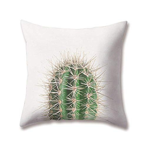 Hengjiang Weich Plüsch Grün Kissen Nordic Einfachen Stil Sukkulente Kaktus Druck 18 x 18/45 x 45 cm Überwurf Weicher, Einfarbiger Kissen für Home Sofa Bett Deko, Polyester, 12, 45 cm*45 cm von Hengjiang