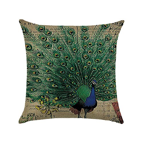 hengjiang Vogel Pfau Kunst Überwurf Kissen Doppelseitig Kissen Baumwolle/Leinen Home Sofa Decor Geschenk Feder 22 von Hengjiang