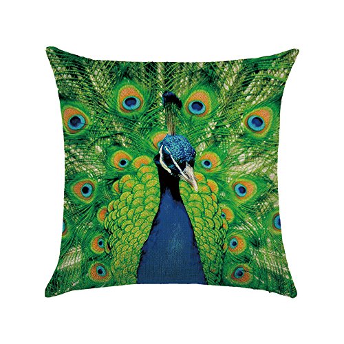 hengjiang Vogel Pfau Kunst Überwurf Kissen Doppelseitig Kissen Baumwolle/Leinen Home Sofa Decor Geschenk Feder 26 von Hengjiang