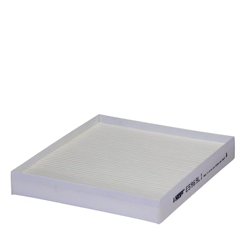 Hengst Innenraumfilter – Pollen – E5969LI von Hengst