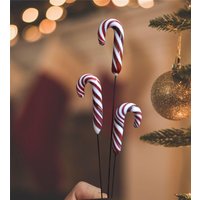 Pflanzenstecker, Glas Zuckerstange Am Stiel von Henriettenglas