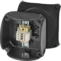 Hensel Reihenklemmenkasten RX 0203 T - 62000339 von Hensel