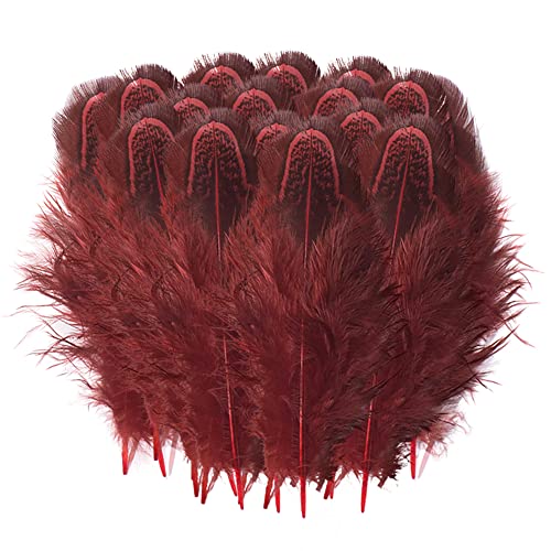 Herbests 100 Stück Natürliche Fasanenfedern, 5-8cm Natural Fasan Federn Schwanzfedern zum Basteln Feder Plume für Hochzeit Party Fest Tisch Zuhause Dekor Hochzeitsdekoration,Rot Herbests 100 Stück Natürliche Fasanenfedern, 5-8cm Natural Fasan Federn Schwanzfedern zum Basteln Feder Plume für Hochzeit Party Fest Tisch Zuhause Dekor Hochzeitsdekoration,Rot von Herbests