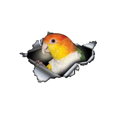 Realistic 3D Auto Aufkleber, 2 Stück Tier Lustige Aufkleber Dekorativer Motorrad Reflektierende Aufkleber Auto Dekoration Styling Aufkleber für Auto,LKW,Stoßstange Aufkleber Sticker,Vogel Realistic 3D Auto Aufkleber, 2 Stück Tier Lustige Aufkleber Dekorativer Motorrad Reflektierende Aufkleber Auto Dekoration Styling Aufkleber für Auto,LKW,Stoßstange Aufkleber Sticker,Vogel von Herbests