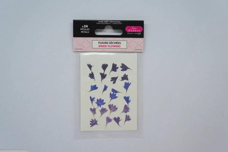Herbin Modelliermasse 3x Trockenblumen, Kornblumenblätter, Pkg 24 Stück Violett 41319T, ENCRES von Herbin