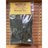 Brennnessel | Urtica Dioica Brennnessel | Urtica Dioica von HerbsByMerlin