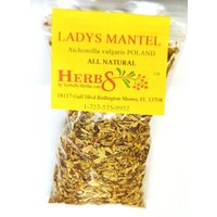 Frauenmantel | Aichemilla Vulgaris Frauenmantel | Aichemilla Vulgaris von HerbsByMerlin