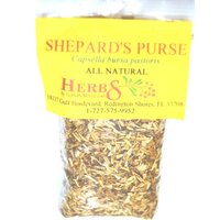 Hirtentäschelblatt | Capsella Bursa Pastoris Hirtentäschelblatt | Capsella Bursa Pastoris von HerbsByMerlin