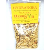 Hortensie | Hydragea Arborescens Hortensie | Hydragea Arborescens von HerbsByMerlin