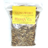 Lungenkraut. C/S | Pulmonaria Officinalis Lungenkraut. C/S | Pulmonaria Officinalis von HerbsByMerlin
