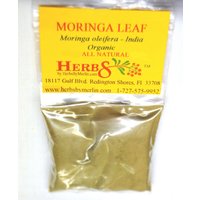 Moringa Blattpulver | Moringa Oleifera von HerbsByMerlin