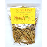 Olivenblatt | Olea Europaea Olivenblatt | Olea Europaea von HerbsByMerlin