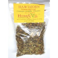 Weißdorn | Crataegus Oxcantha, Blüte & Blatt Weißdorn | Crataegus Oxcantha, Blüte & Blatt von HerbsByMerlin