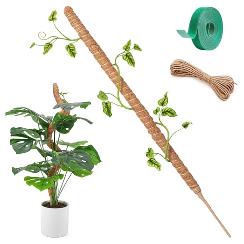 Herbst 120 cm Monstera Rankhilfe, Pflanzstab Biegsame Moss Pole Kokosstab Monstera mit 4m Fixseil, Moosstab für Monstera aus Natürlicher Kokosfaser von Herbst