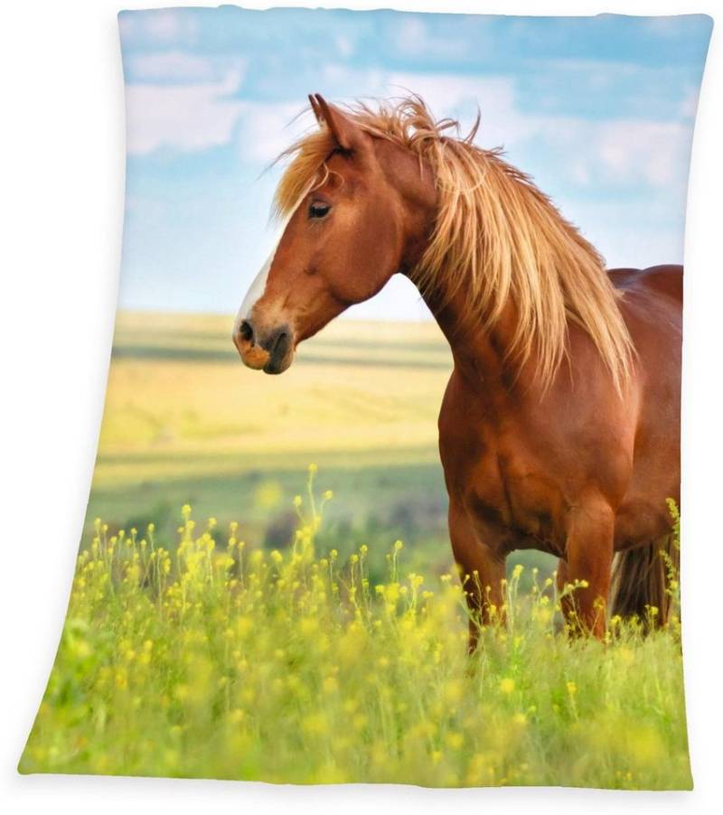 Kinderdecke Pferd, Herding Young Collection, mit Motiv, Kuscheldecke von Herding Young Collection