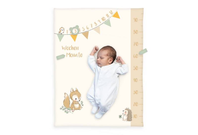 Babydecke Waldfreunde Meilenstein Soft-Peachdecke 75/100 cm Kuscheldecke, Herding, Kinder Kuscheldecke Babydecke von Herding