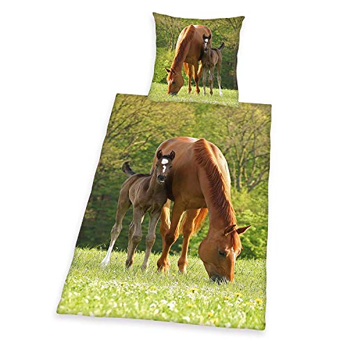 Herding Young Collection Bettwäsche-Set, Pferde Motiv, Bettbezug 135 x 200 cm, Kopfkissenbezug 80 x 80 cm, Baumwolle/Renforcé, Grün von Herding