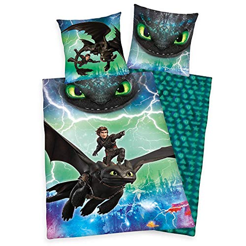 Herding DREAMWORKS DRAGONS Bettwäsche-Set, Wendemotiv, Bettbezug 135 x 200 cm, Kopfkissenbezug 80 x 80 cm, Baumwolle/Renforcé von Klaus Herding GmbH