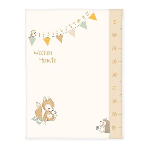 Herding babybest Soft-Peachdecke Waldfreunde Meilensteindecke/Monatsdecke/Fotodecke, Inkl. Zubehör, 75 x 100 cm, Polyester Herding babybest Soft-Peachdecke Waldfreunde Meilensteindecke/Monatsdecke/Fotodecke, Inkl. Zubehör, 75 x 100 cm, Polyester von Herding