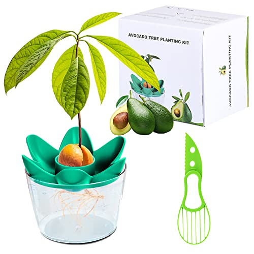 Herefun Avocado Pflanzen Geschenk, Anzuchtsets, Ausrüstung zur Anzucht, Gartenarbeit Avocado Pflanzen Avocado Werkzeug Avocado Pflanzset (mit Schüssel), Garten Geschenk für Mama und Beste Freundin von Herefun