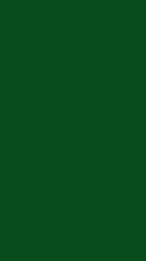 Wachsverzierfolien einfarbig Anzahl 10 Stück, Größe 155 x 90 mm, Farbe Dunkelgrün von Herlikofer