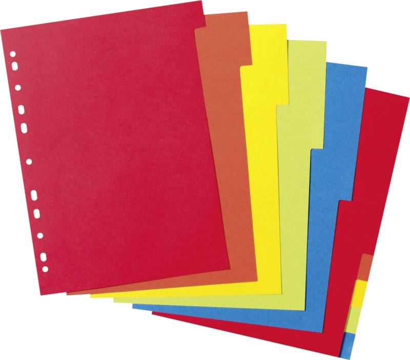 herlitz Kartonregister A4 10-teilig von Herlitz