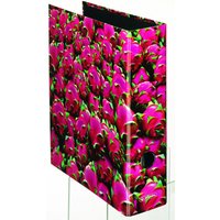 herlitz Ordner 8 cm DIN A4 Karton Motiv von Herlitz
