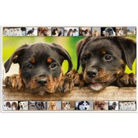 HERMA Schreibtischunterlagen 55,0 x 35,0 cm Hunde von Herma
