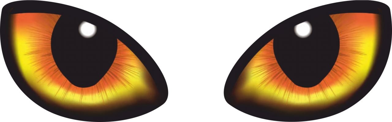 Hermann Schütz Aufkleber Augen 2er-Set rechts/links je 50x75mm Hermann Schütz Aufkleber Augen 2er-Set rechts/links je 50x75mm von Hermann Schütz