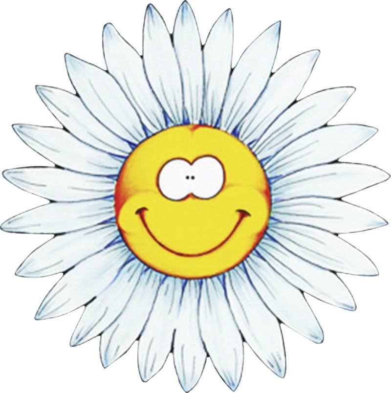 Hermann Schütz Aufkleber Blumengesicht von Hermann Schütz