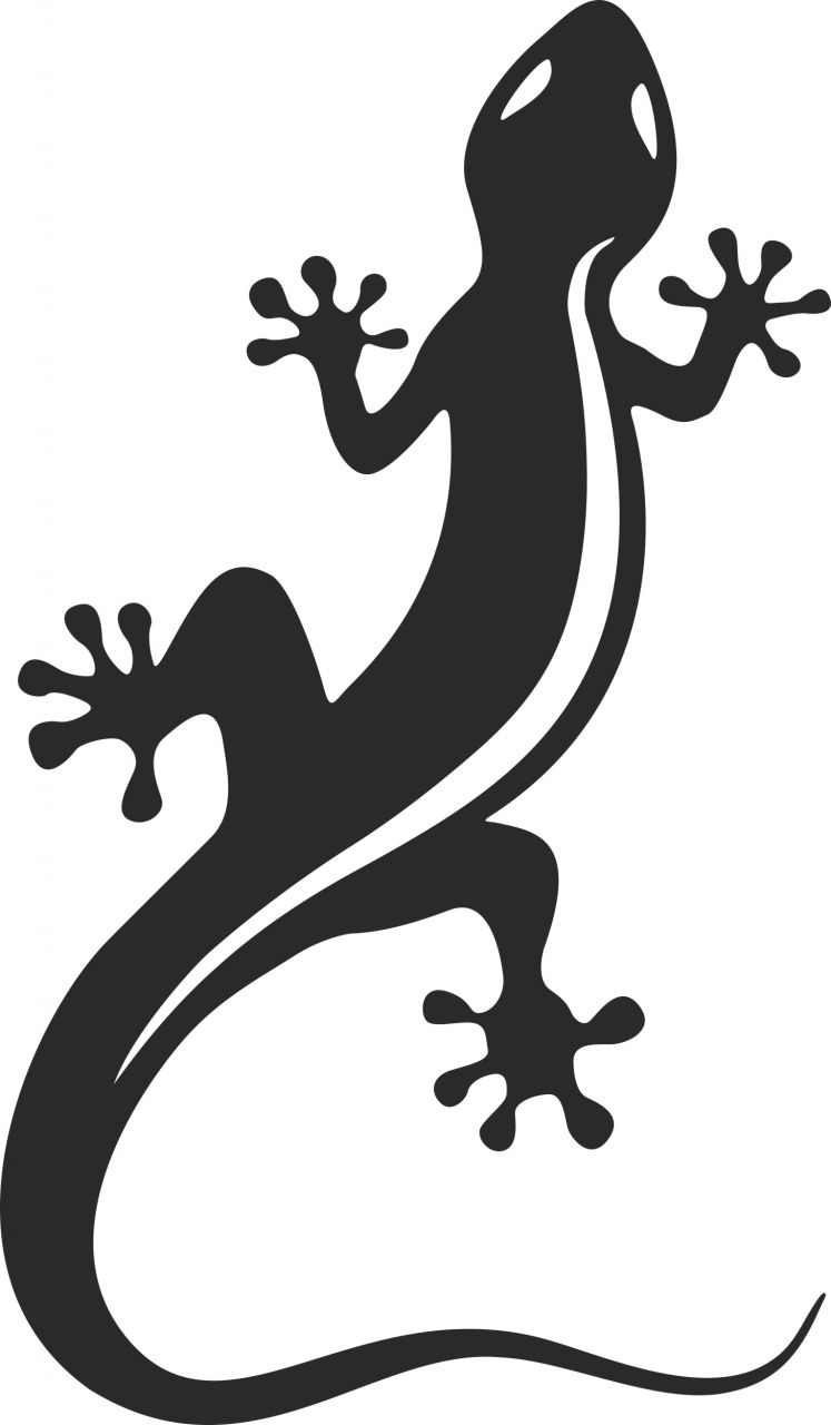 Hermann Schütz Aufkleber Gecko schwarz 265x155mm von Hermann Schütz