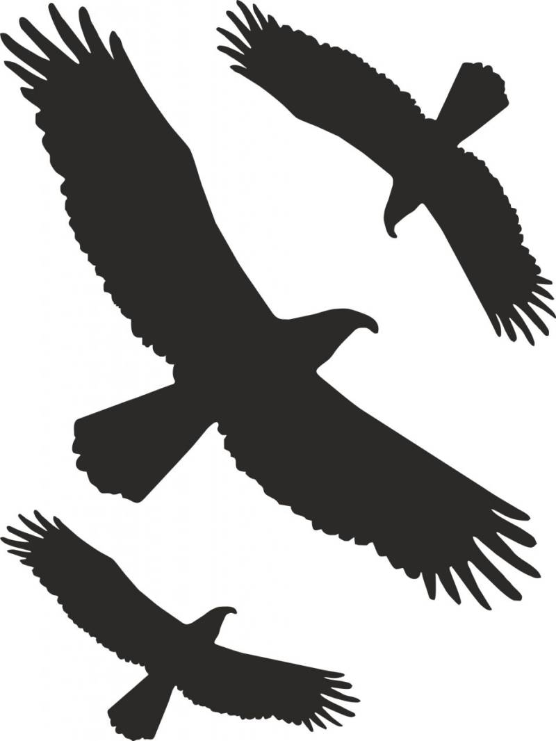 Hermann Schütz Aufkleber Kontur Vogel-Sortiment 3teilig 3 Motive von Hermann Schütz