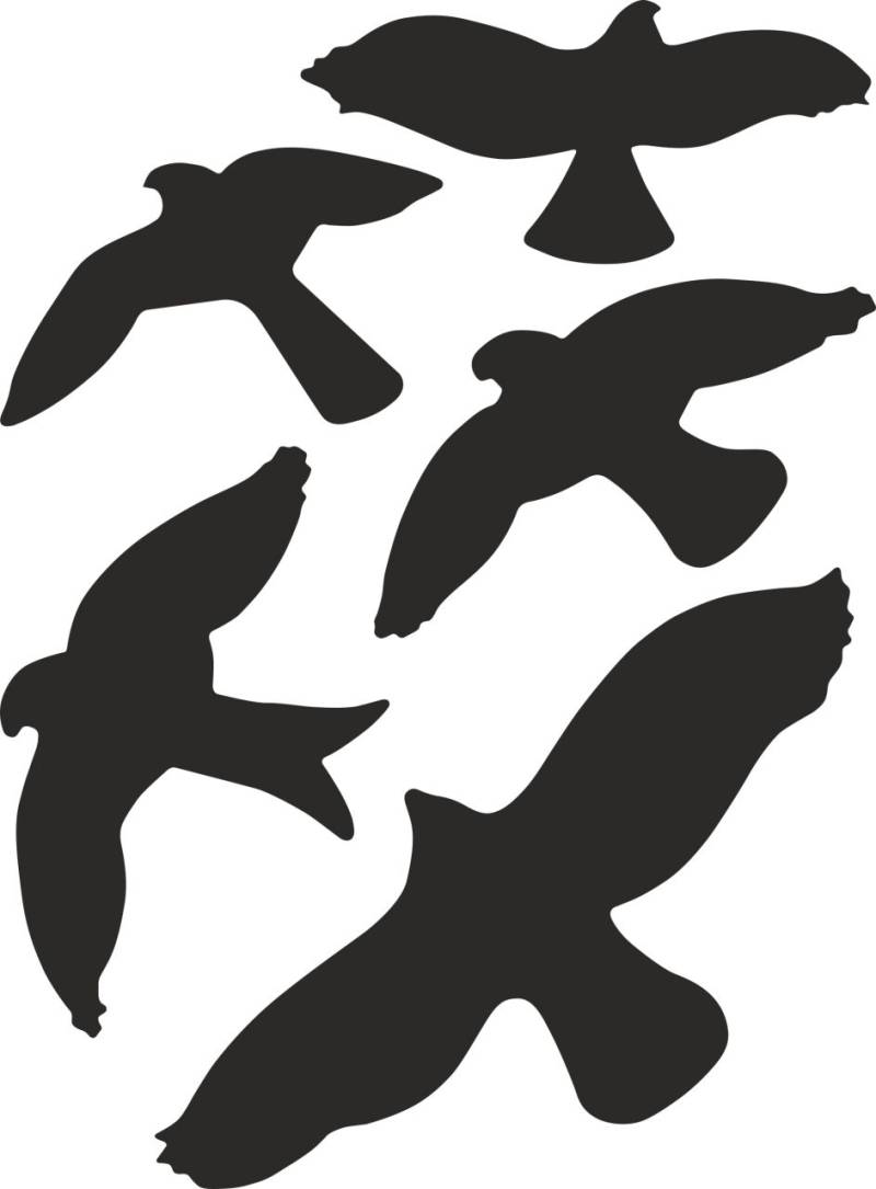 Hermann Schütz Aufkleber Kontur Vogel-Sortiment 5teilig  5 Motive von Hermann Schütz
