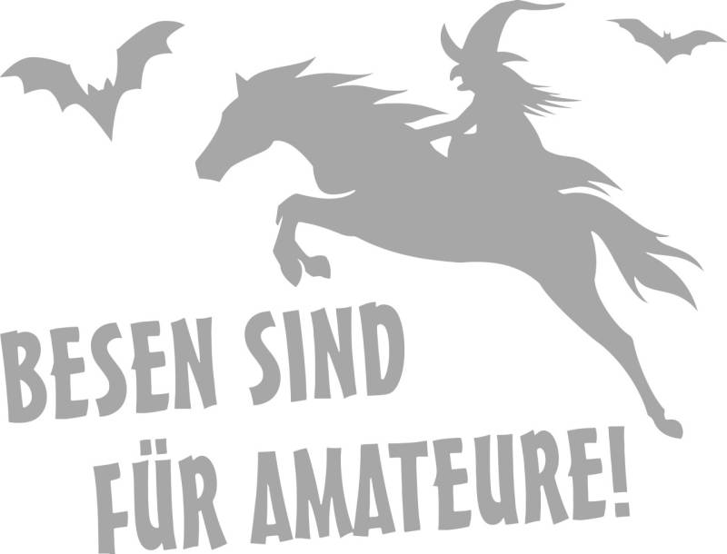 Hermann Schütz Aufkleber Pferd Besen sind für Amateure von Hermann Schütz