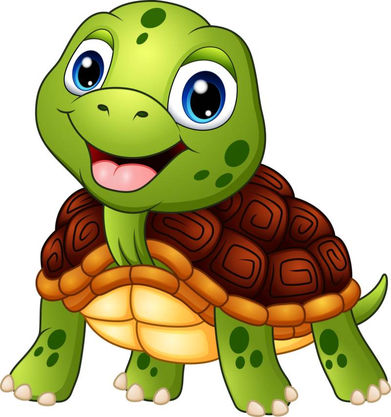 Hermann Schütz Aufkleber Schildkröte 95x100mm von Hermann Schütz