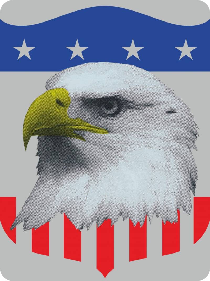 Hermann Schütz Aufkleber US-Flagge/Adler Holografie 150x110mm von Hermann Schütz