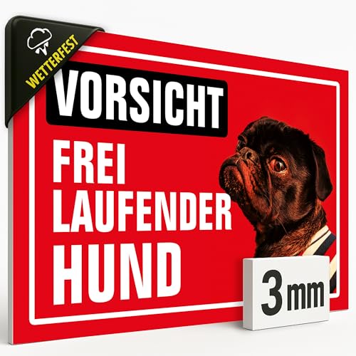 Schild „VORSICHT FREI LAUFENDER HUND“ – 20x30 cm – Wetterfestes Hundeschild aus 3mm starker Hartschaum Platte – UV-beständig & farbecht – Deutsche Qualität, Warnschild #190 von HermannPartner