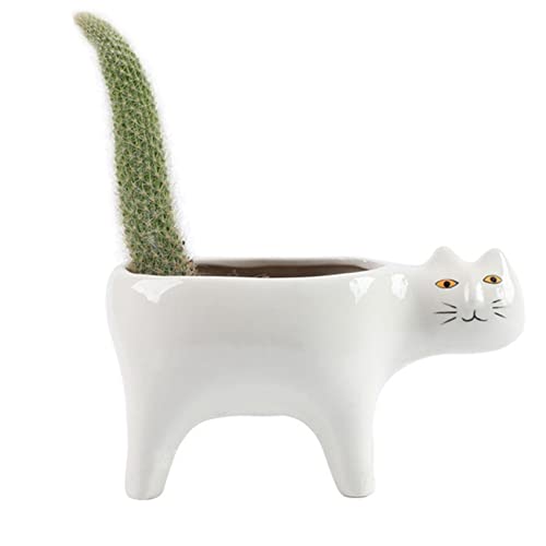 Hermosiey SüßE Katze Keramik Garten Blumentopf Tierbild Pflanze ÜBertopf Sukkulente Container Tischdekoration Hermosiey SüßE Katze Keramik Garten Blumentopf Tierbild Pflanze ÜBertopf Sukkulente Container Tischdekoration von Hermosiey