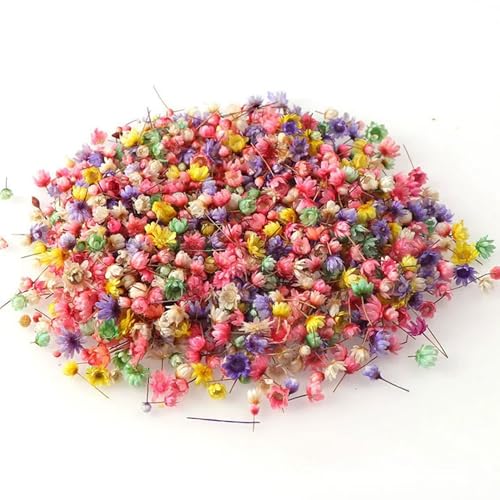 200 pcs Bulk small Dried Flowers for Resin Crafts, Dried Flowers, Mini Dried Flowers for Resin, Candle Making, soap Making, Nail Art, Jewelry Earrings epoxy Resin von Herr Ozean